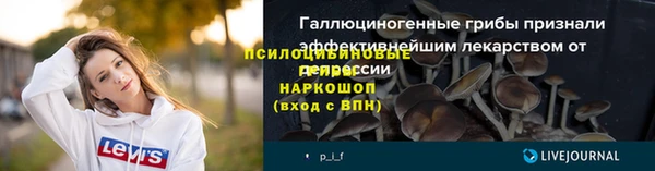 гашик Киреевск