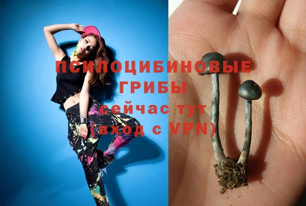 гашишное масло Козельск
