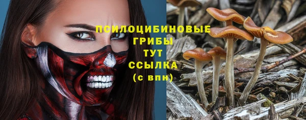 гашишное масло Козельск