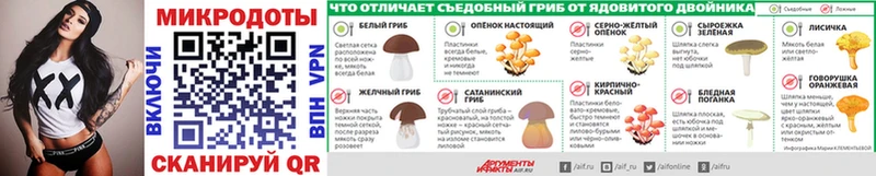 blacksprut ONION  Клинцы  Псилоцибиновые грибы Psilocybine cubensis 